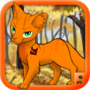 斯帕莱蒂：还没续约就去和俱乐部谈引援？我会觉得自己像白痴